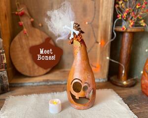This shows a carved pumpkin ghost with candle. It is a dried gourd with a silly ghost face. The top has white hair, dried berries and bones.